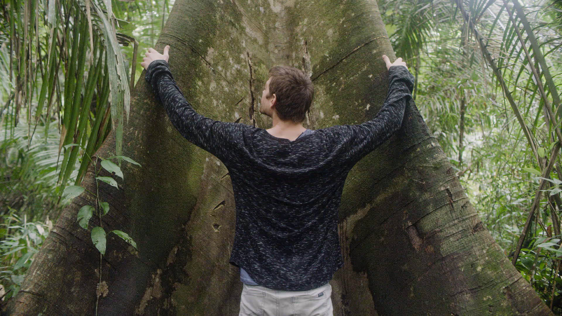 14 días de retiro de ayahuasca