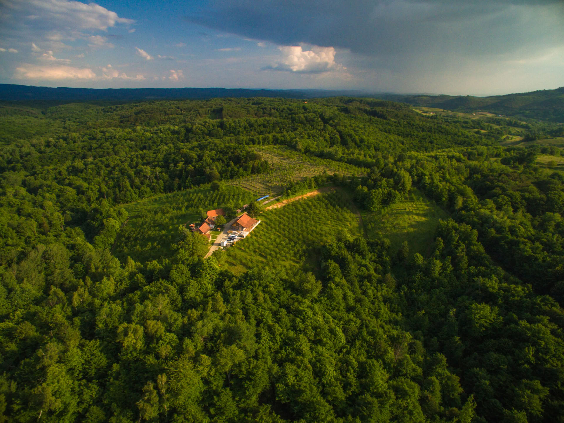 Retiro de Yoga Forest Escape Croacia