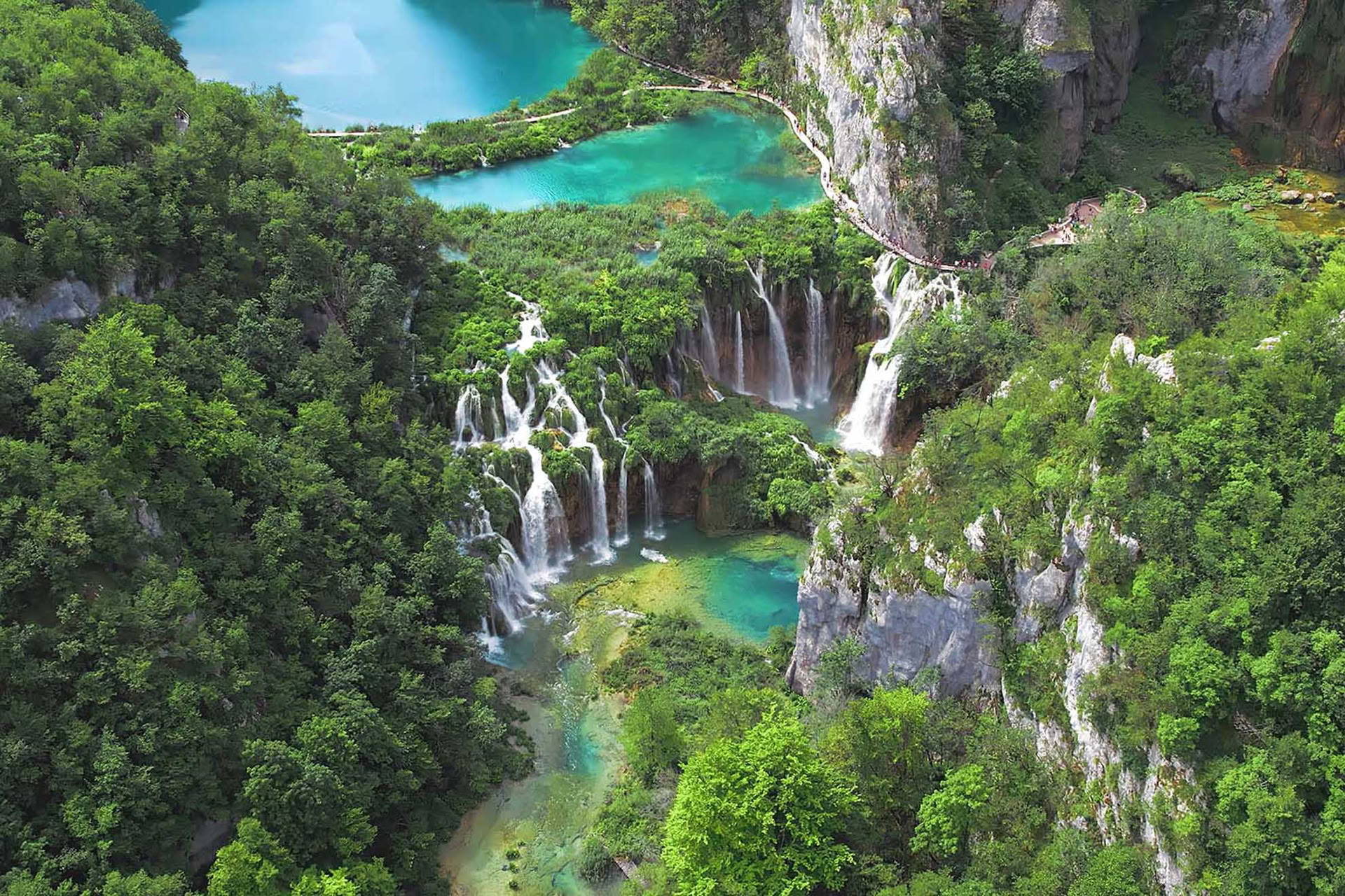 Retiro de Yoga Forest Escape Croacia
