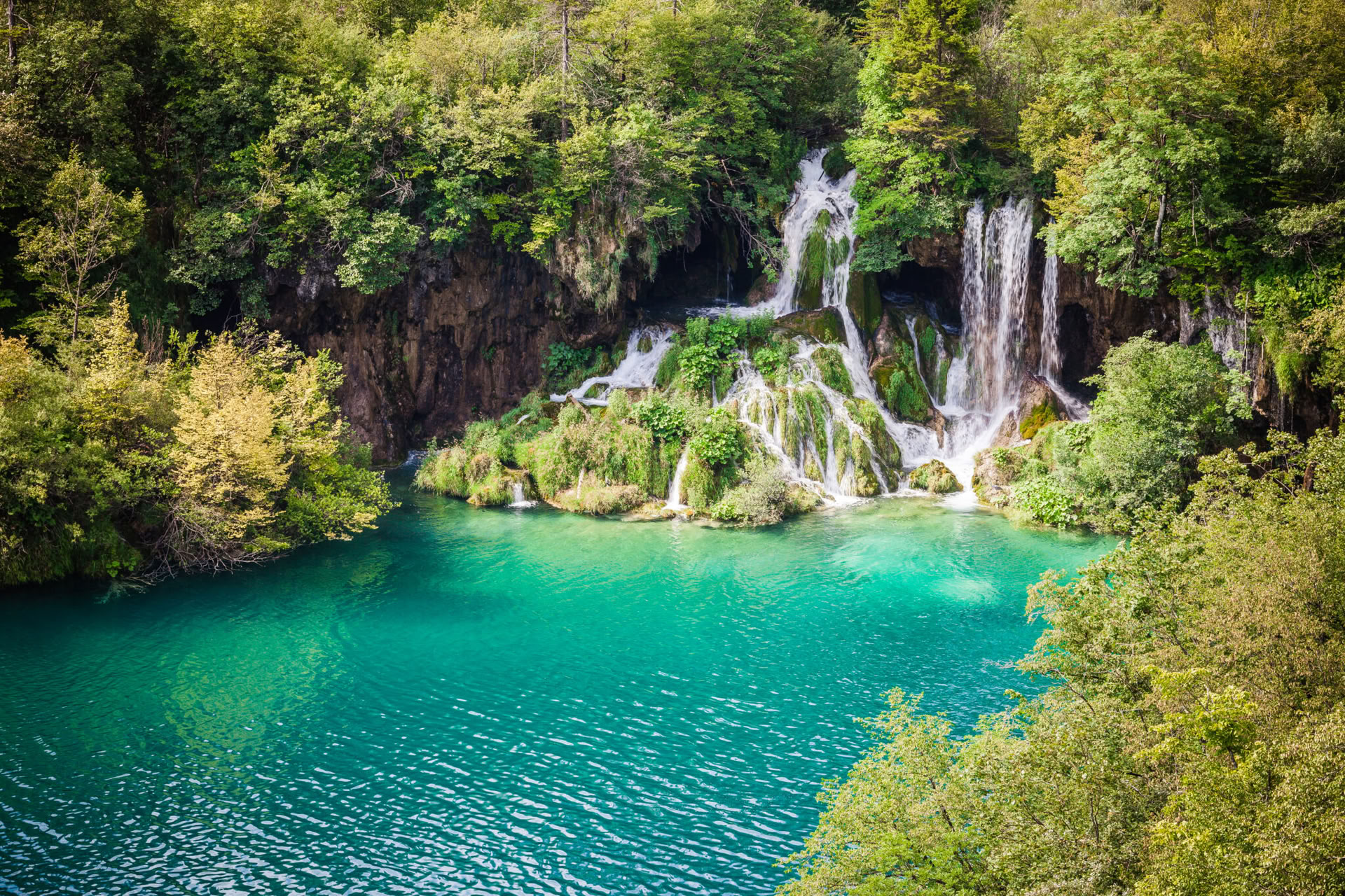 Retiro de Yoga Forest Escape Croacia