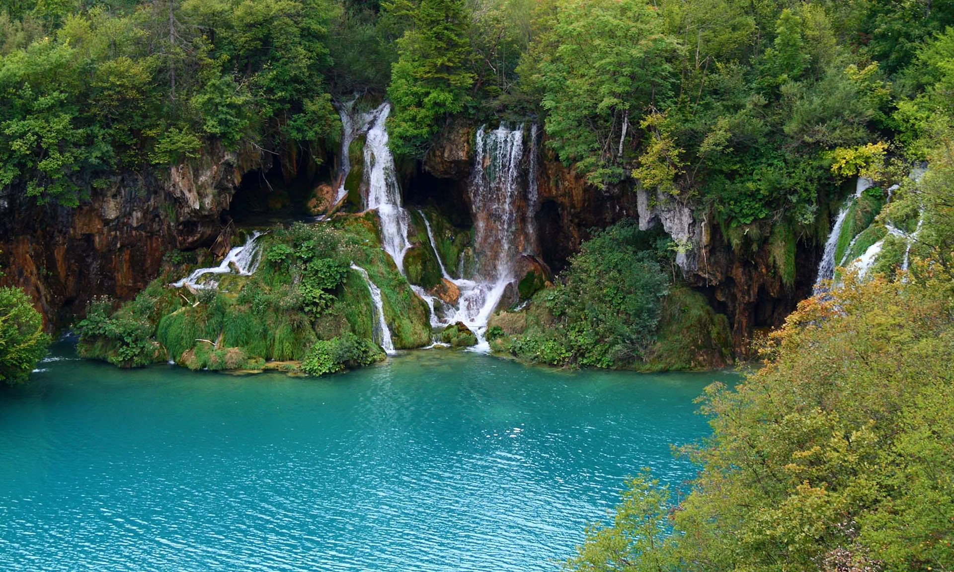 Retiro de Yoga Forest Escape Croacia