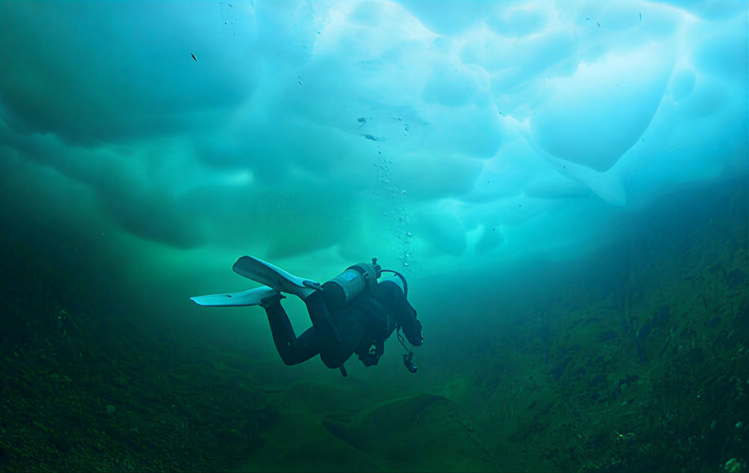 Buceo en hielo