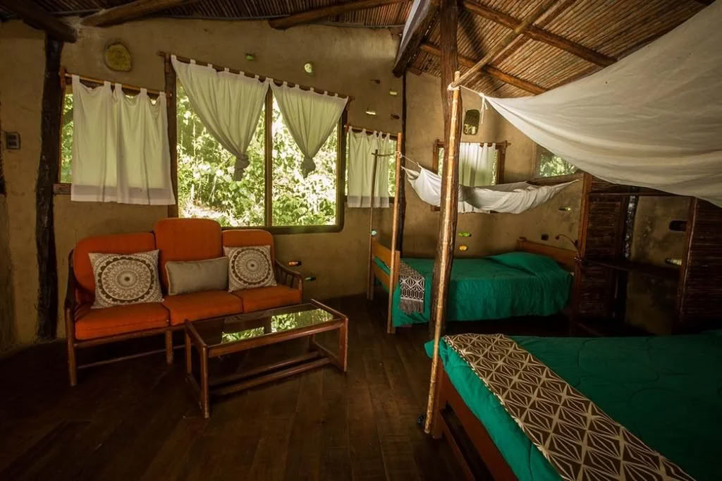 Retiro de Ayahuasca para no principiantes