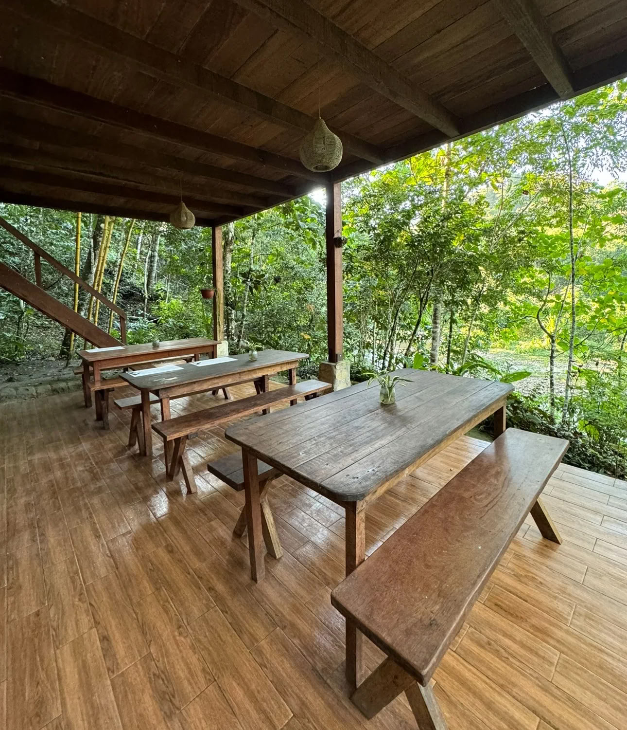 Retiro de Ayahuasca para no principiantes