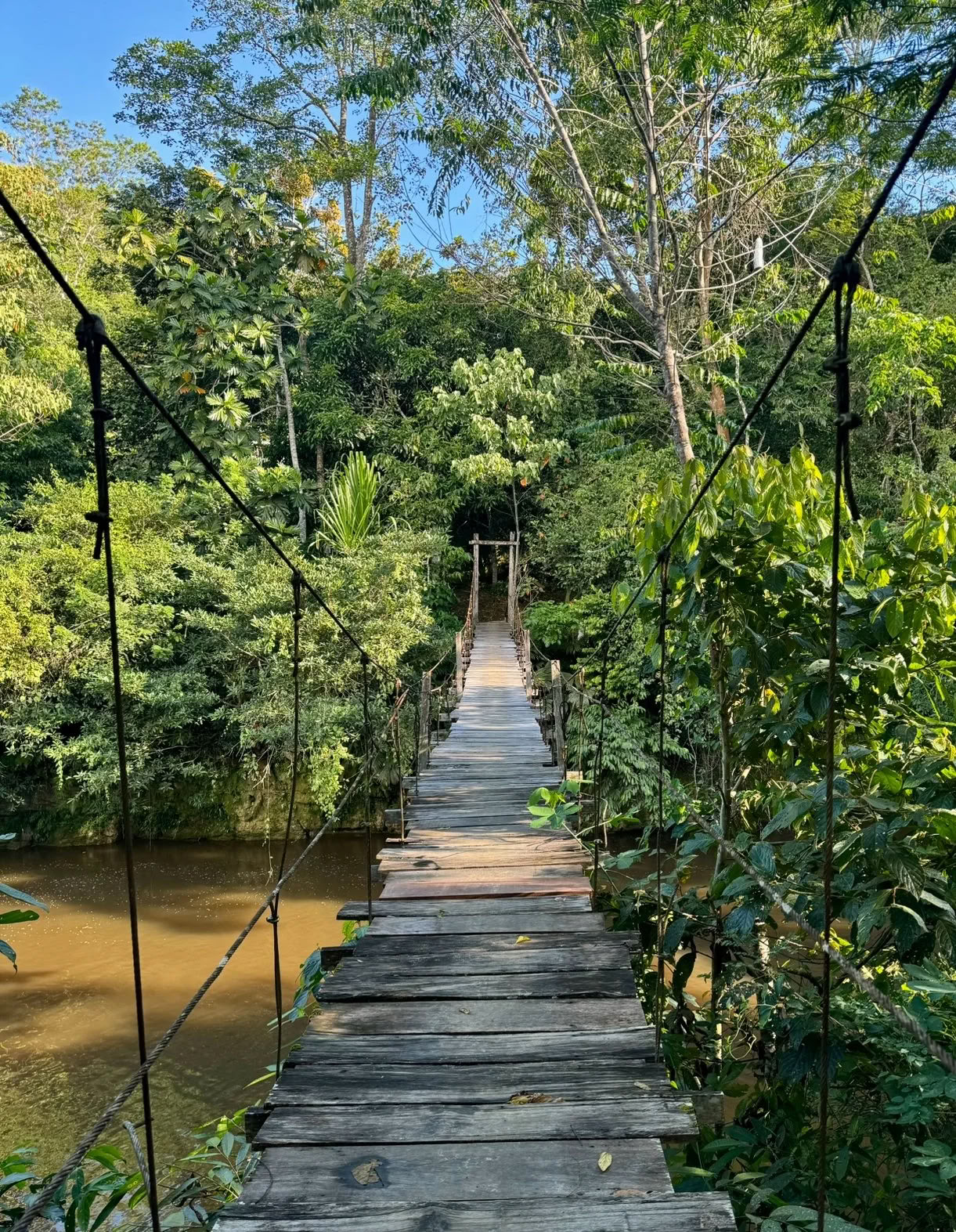 Retiro de Ayahuasca para no principiantes