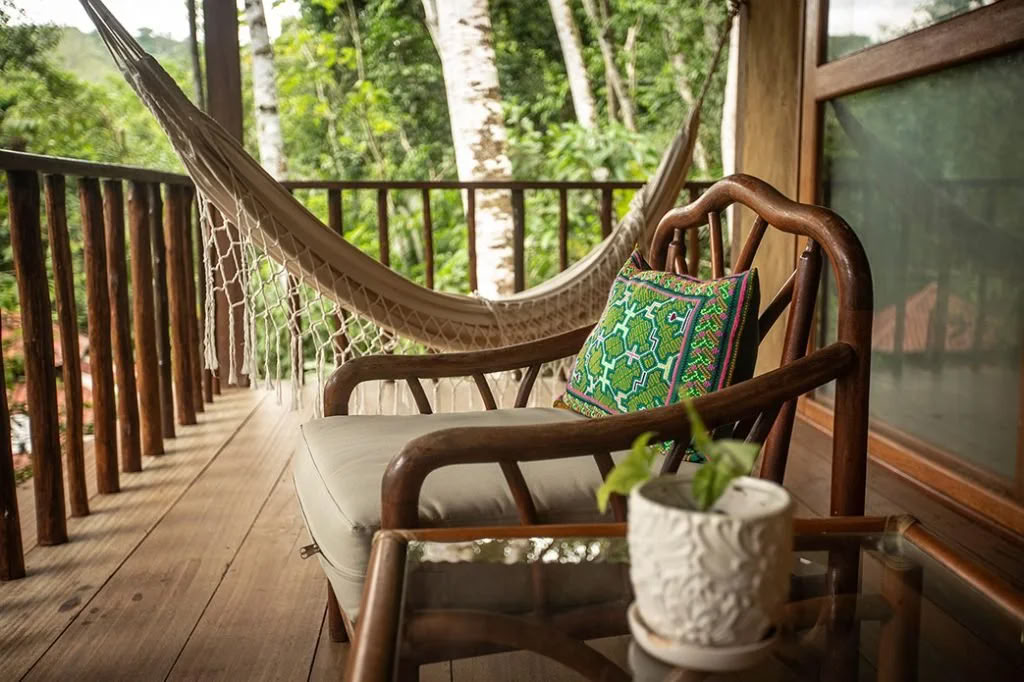 Retiro de Dieta de Ayahuasca de Plant