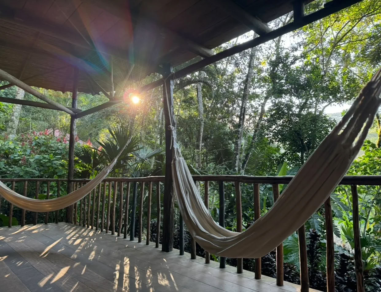 Retiro de Dieta de Ayahuasca de Plant