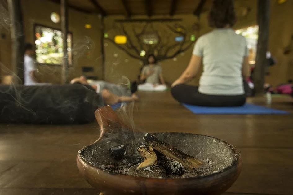 Retiro de Dieta de Ayahuasca de Plant