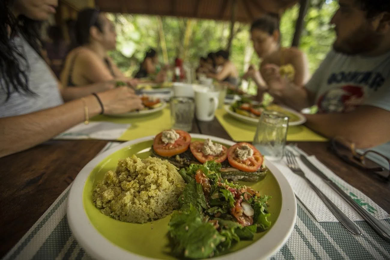 Retiro de Dieta de Ayahuasca de Plant
