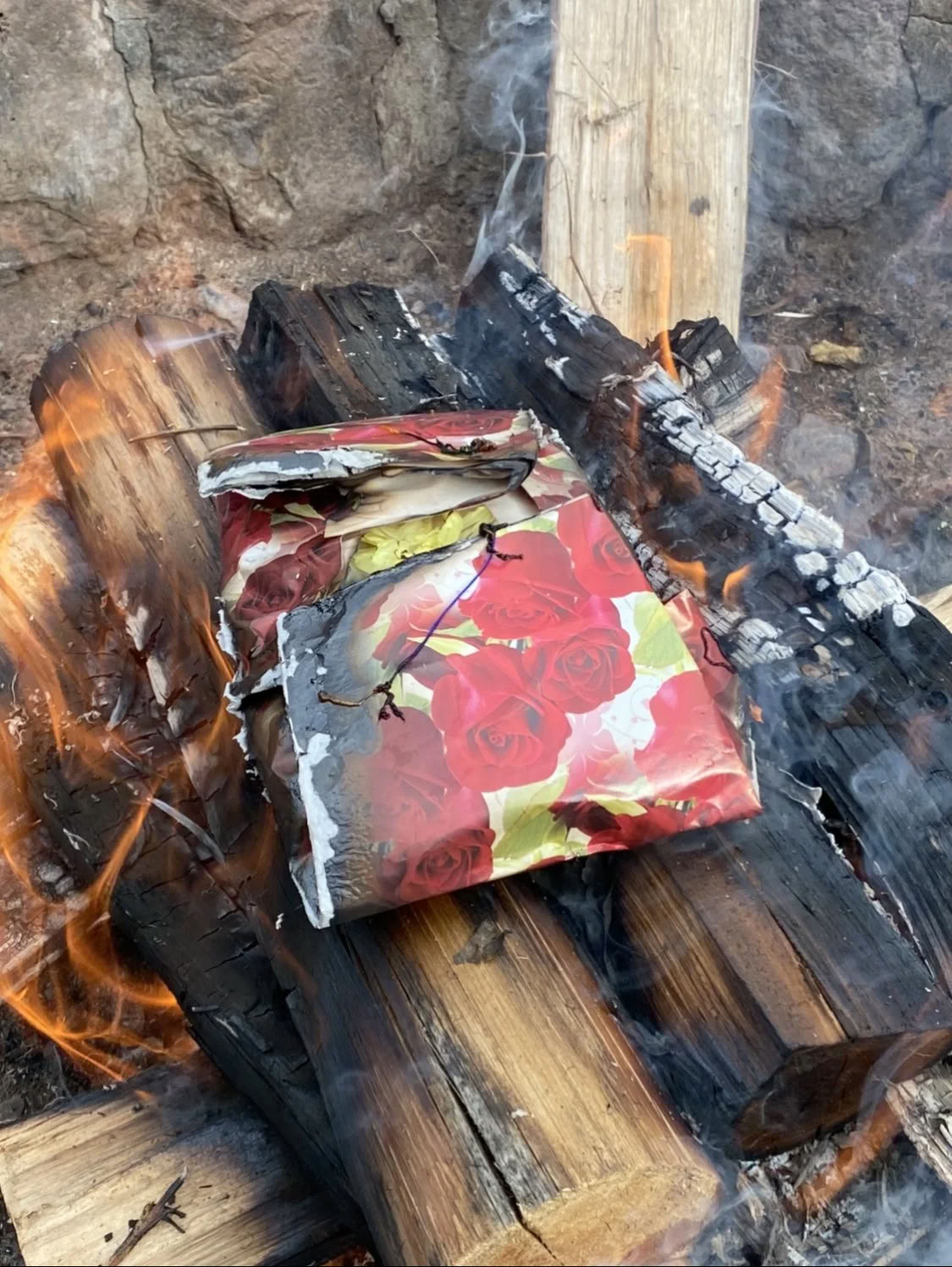 Retiro de Dieta de Ayahuasca de Plant