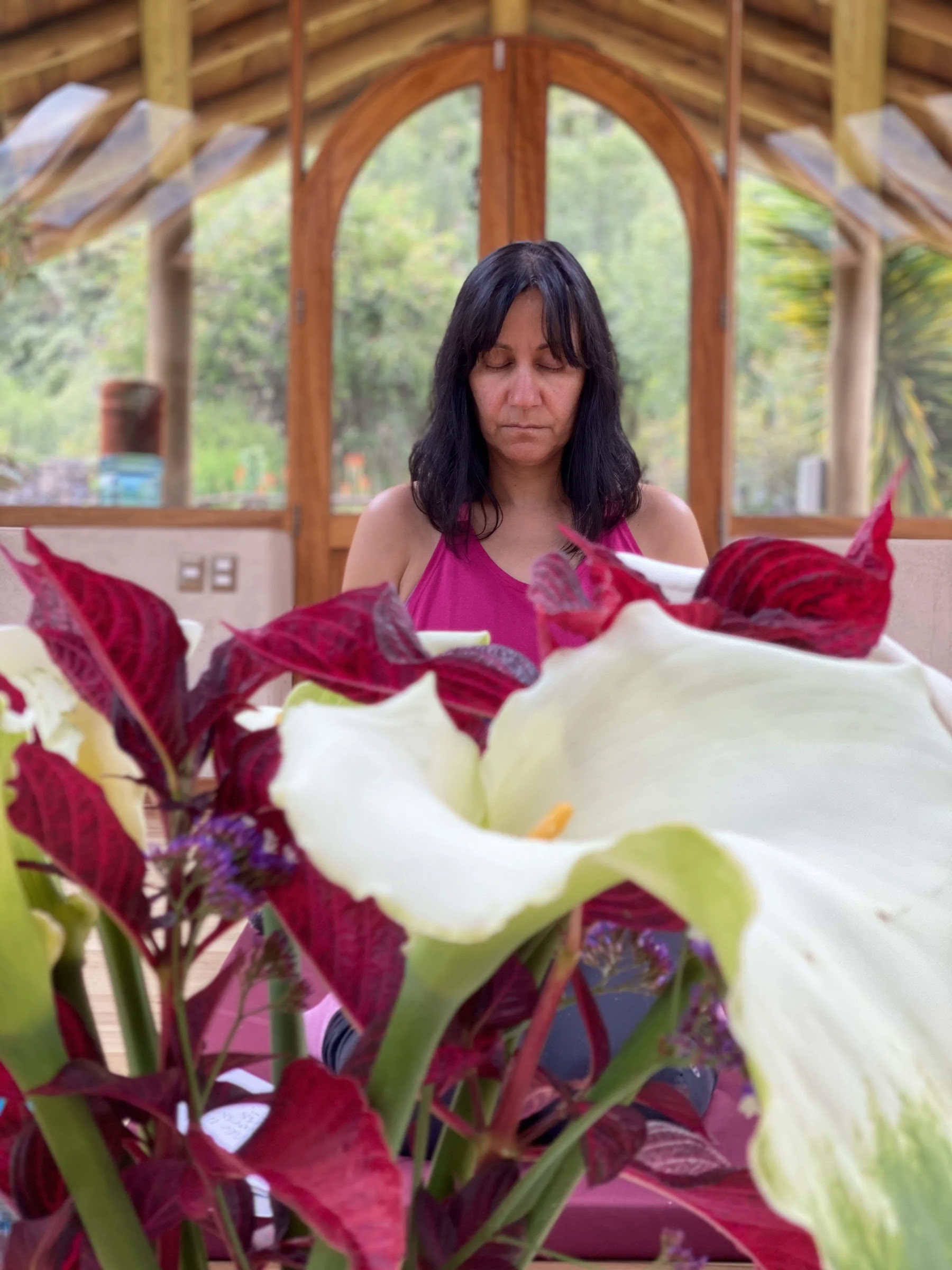 Retiro de Dieta de Ayahuasca de Plant