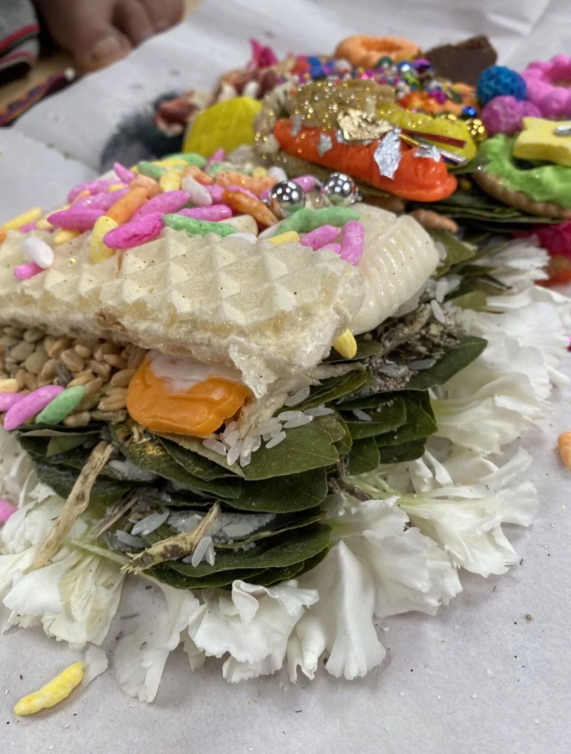 Retiro de Ayahuasca con beca