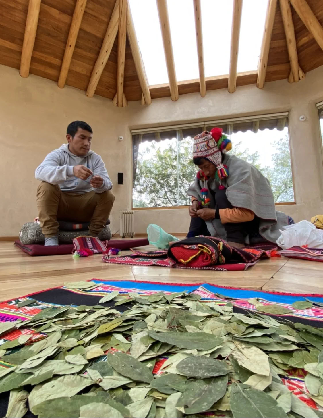 Retiro de Ayahuasca con beca
