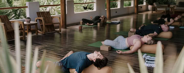 VINYASA FLOW DE FLEXIBILIDAD