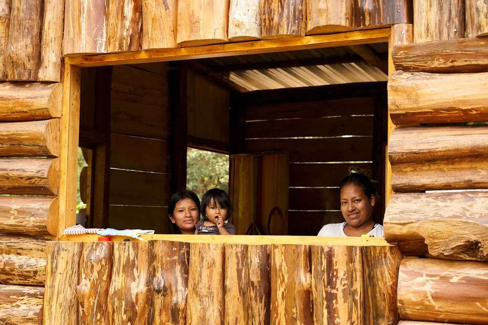 Retiro de Iniciación a la Ayahuasca: 7 y 14 días – 10-31 de enero de 2027