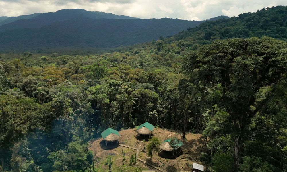 Retiro de Iniciación a la Ayahuasca: 7 y 14 días – 3-24 de febrero de 2027