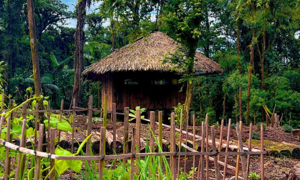 Retiro de Iniciación a la Ayahuasca: 7 y 14 días – 3-24 de febrero de 2027
