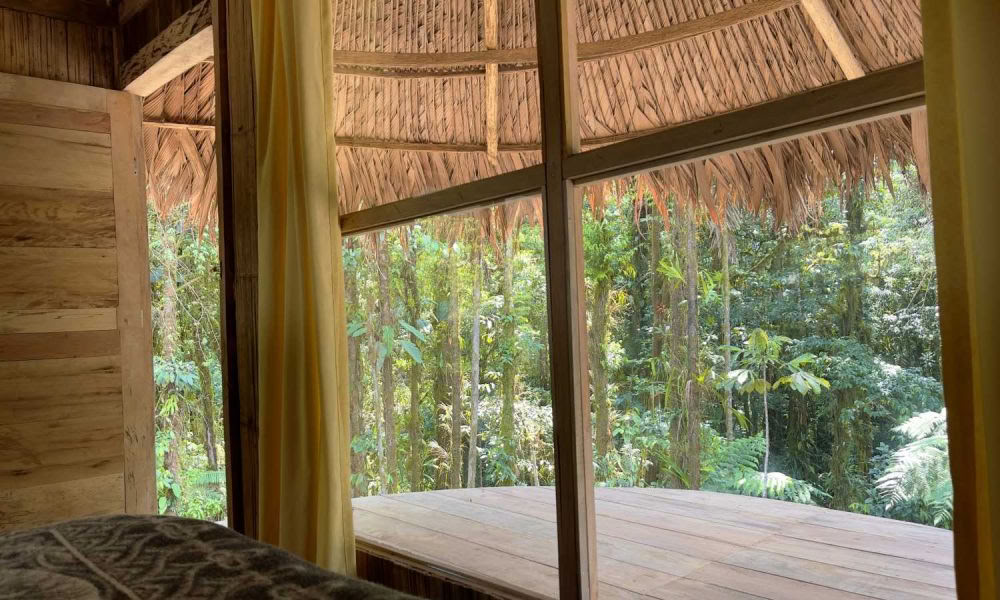 Retiro de Iniciación a la Ayahuasca: 7 y 14 días – 3-24 de febrero de 2027