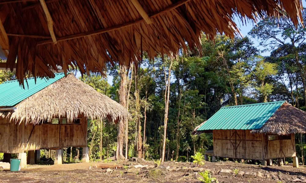 Retiro de Iniciación a la Ayahuasca: 7 y 14 días – 3-24 de febrero de 2027