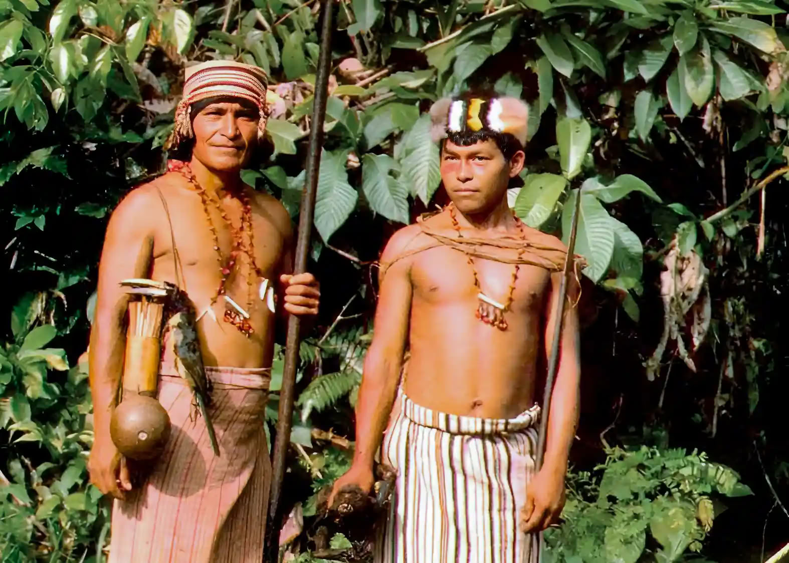 Retiro de Iniciación a la Ayahuasca: 7 y 14 días – 3-24 de febrero de 2027