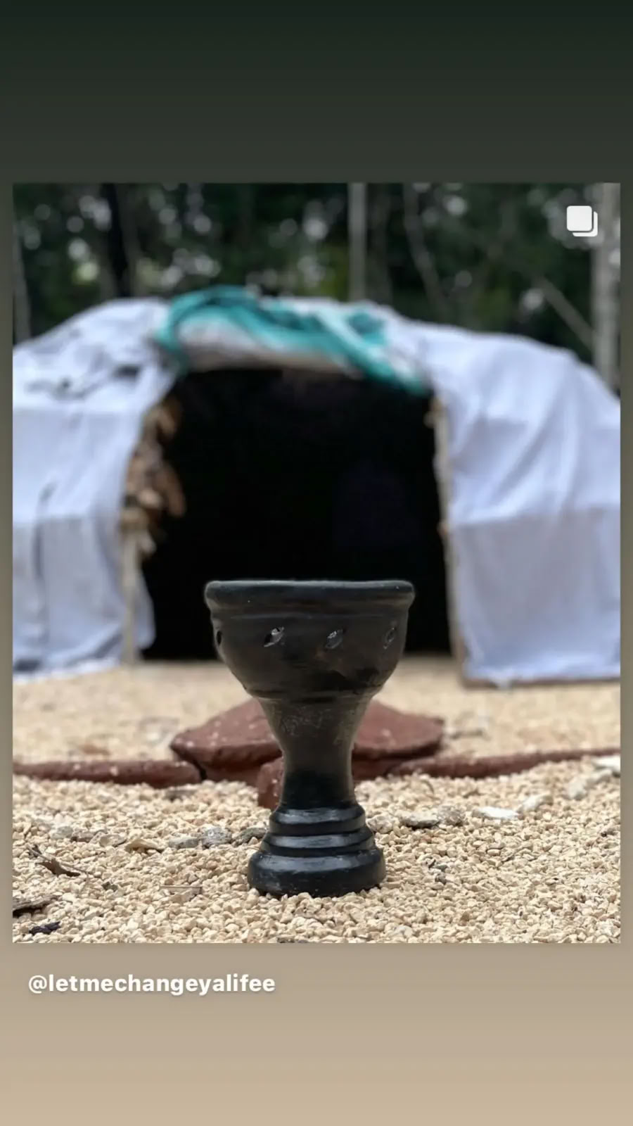 Ceremonia de la Sabiduría de las Plantas