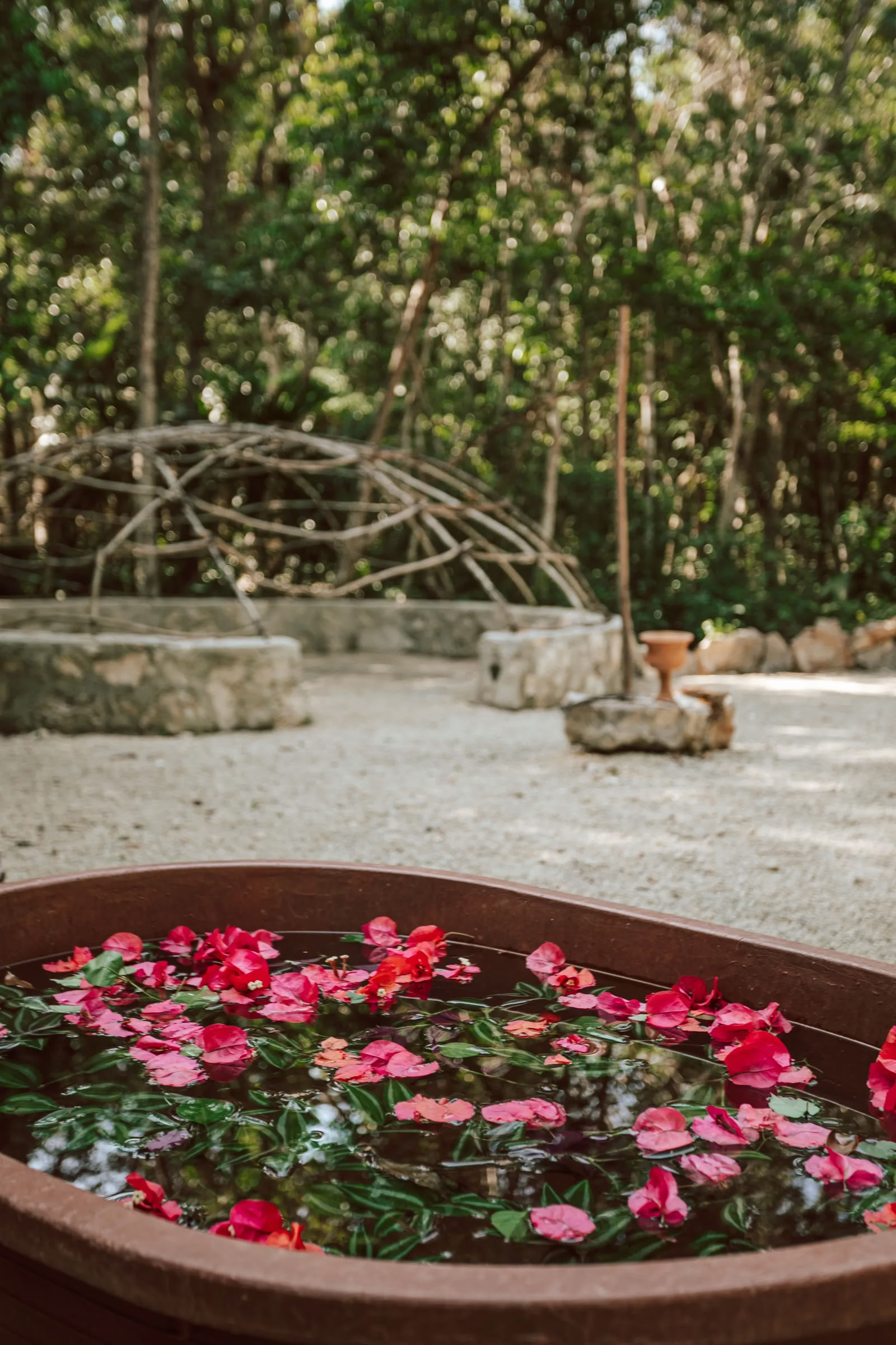 Ceremonia de la Sabiduría de las Plantas