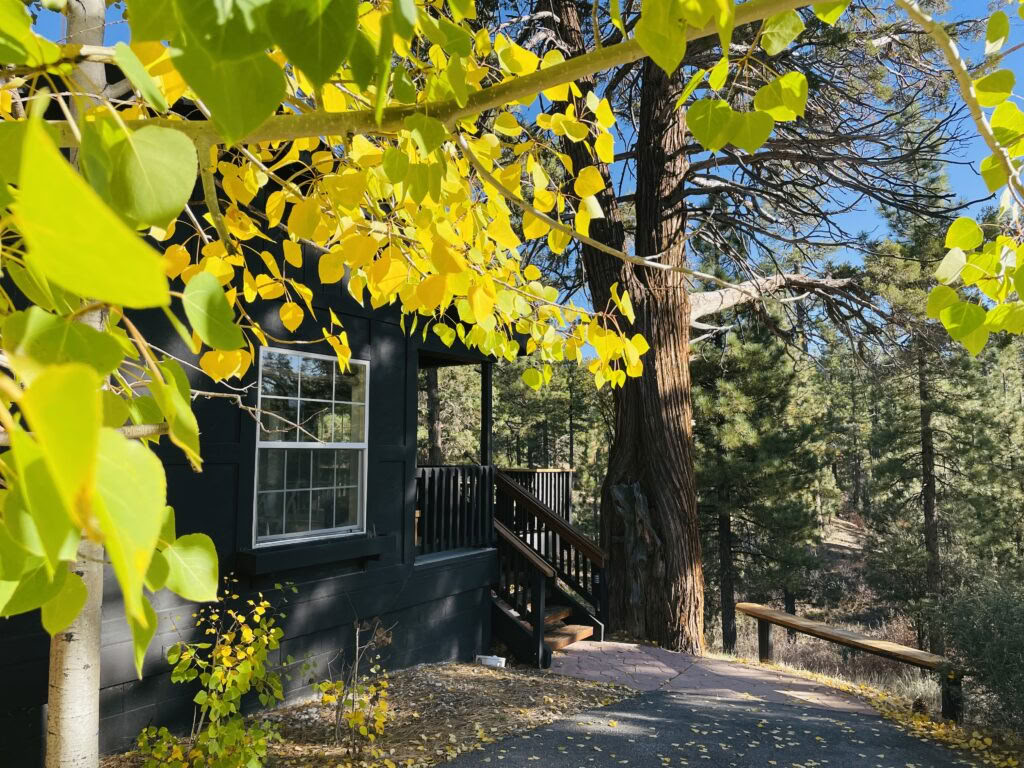 Descansa en la simplicidad