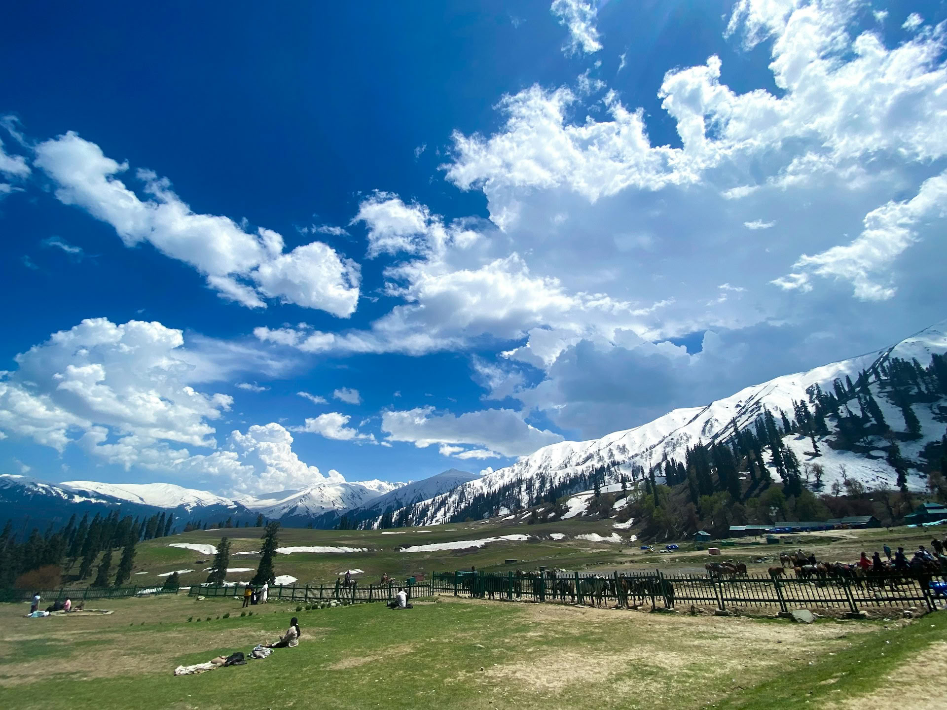 Classic Kashmir Escape: Casa flotante, praderas y paisajes glaciares