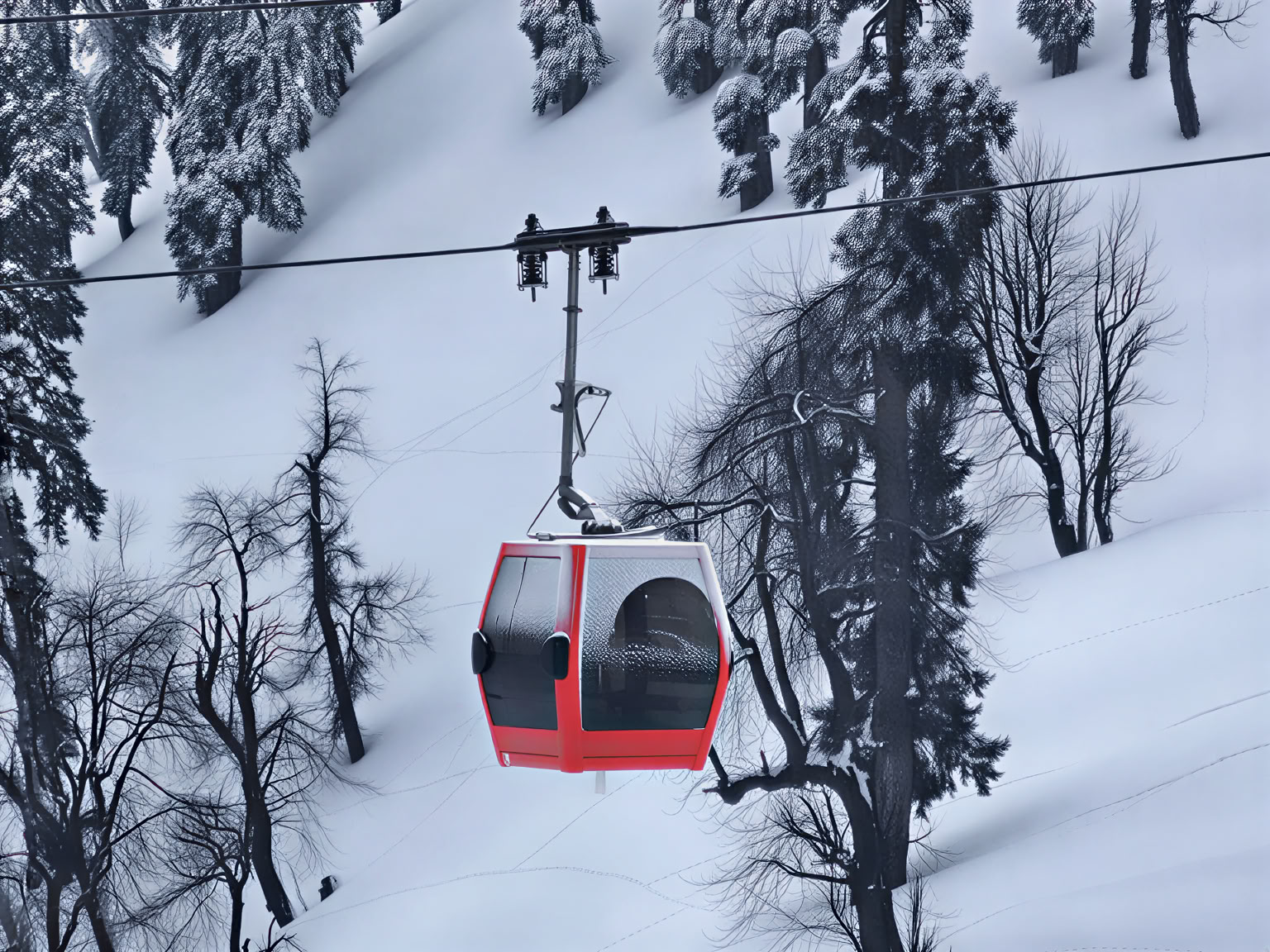 Dal Dreams & Mountain Days: Una experiencia emblemática en Cachemira