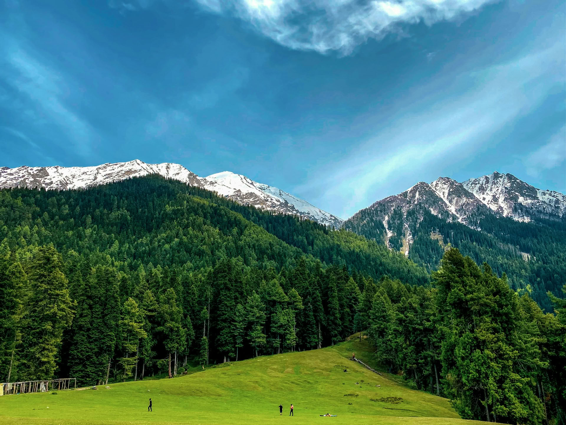 Meadows of Gold: Srinagar a Sonmarg escapada alpina
