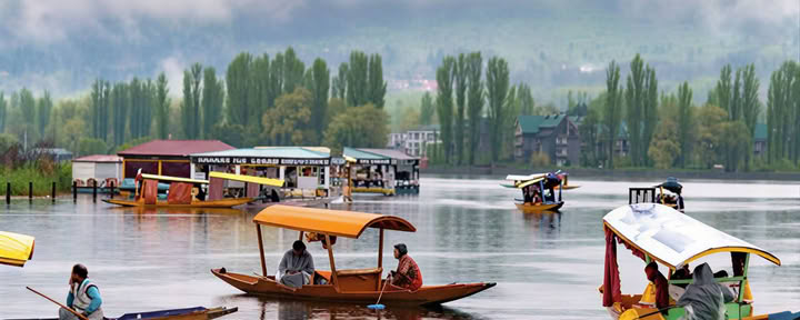 Meadows of Gold: Srinagar a Sonmarg escapada alpina