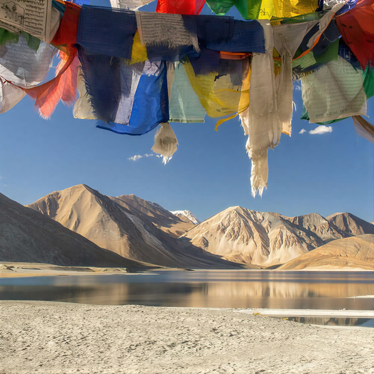 De Paraíso a la Meseta: Viaje por carretera de Cachemira a Ladakh