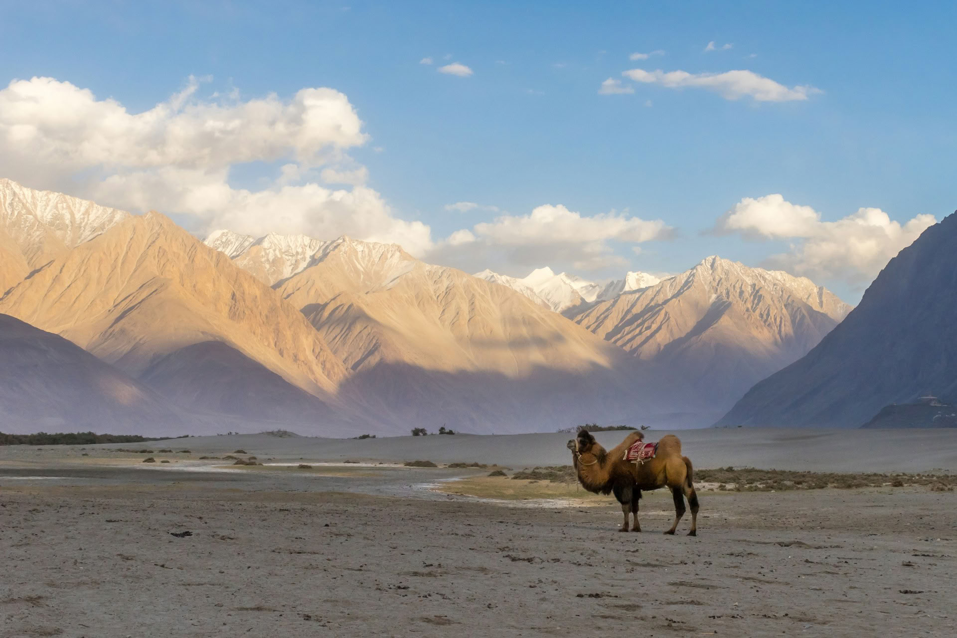 De Paraíso a la Meseta: Viaje por carretera de Cachemira a Ladakh