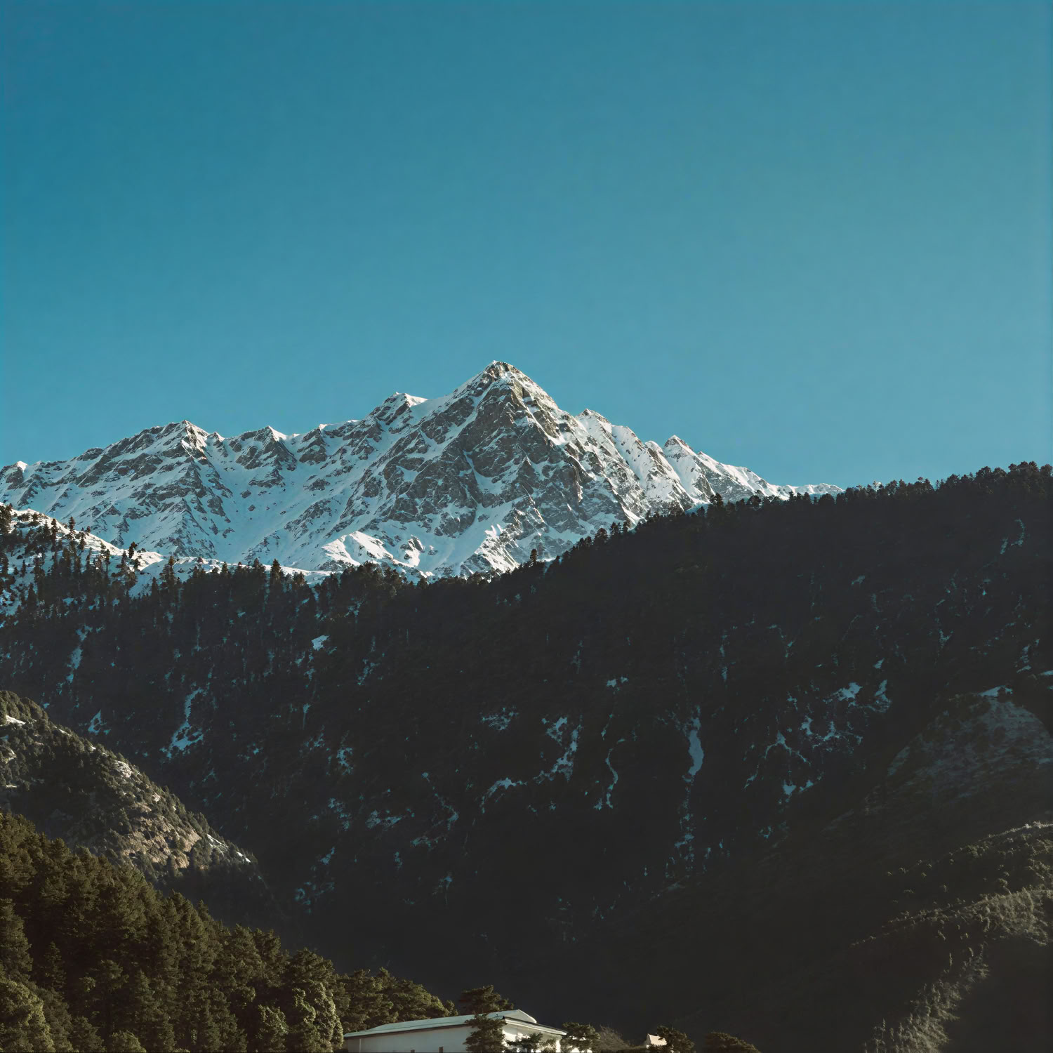 Sacred Hills to Golden Horizons: Dharamshala, Dalhousie y Amritsar Trail