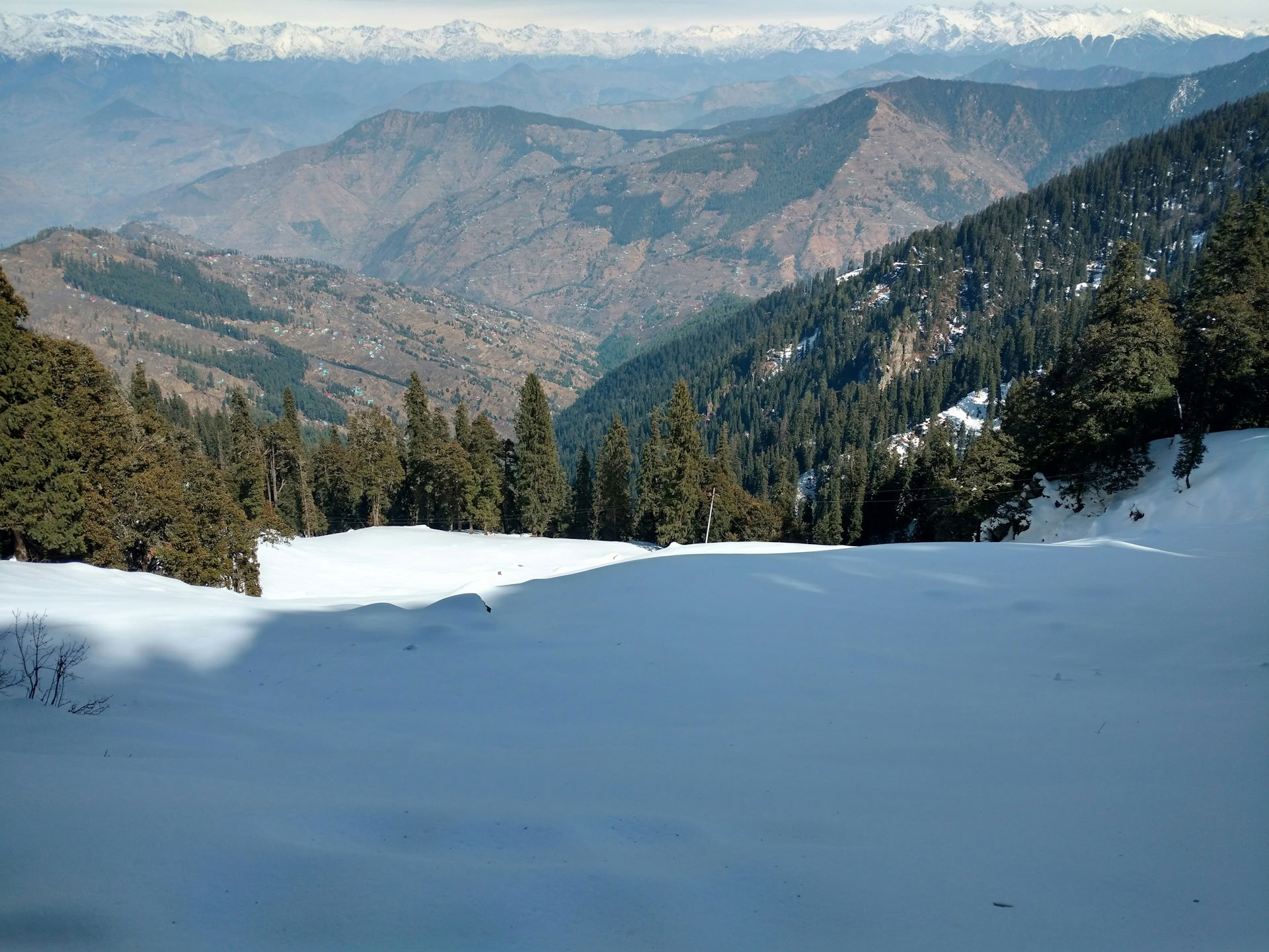 Orchards to Forest Trails: Thanedar, Sojha y Tirthan Escapada Himalaya Lenta