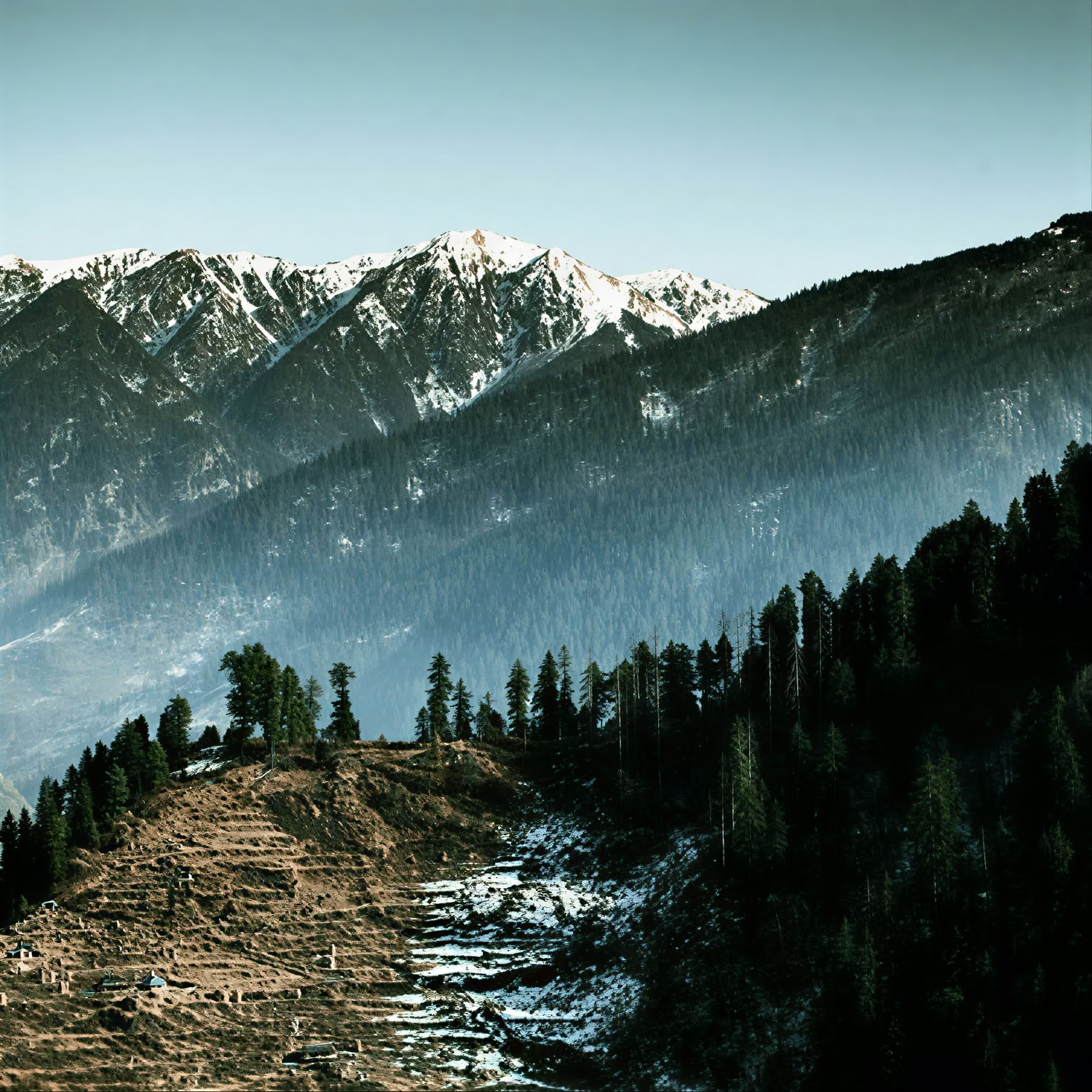 Orchards to Forest Trails: Thanedar, Sojha y Tirthan Escapada Himalaya Lenta