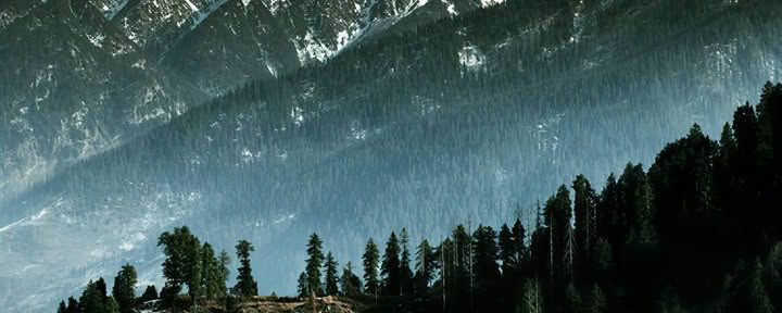 Orchards to Forest Trails: Thanedar, Sojha y Tirthan Escapada Himalaya Lenta