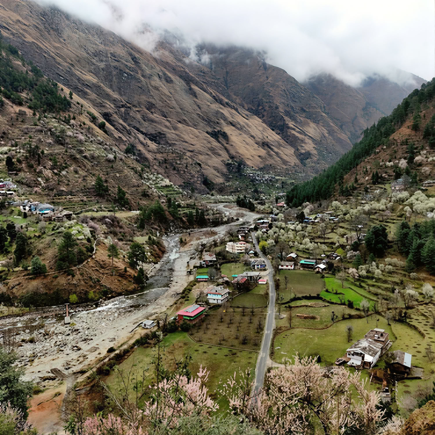 Forest Trails to Hidden Hamlets: Sojha, Tirthan & Sonaugi Retiro Himalayo