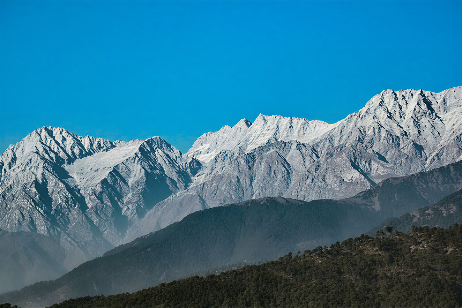 Camp, Escala y Conecta – Un viaje familiar al Himalaya