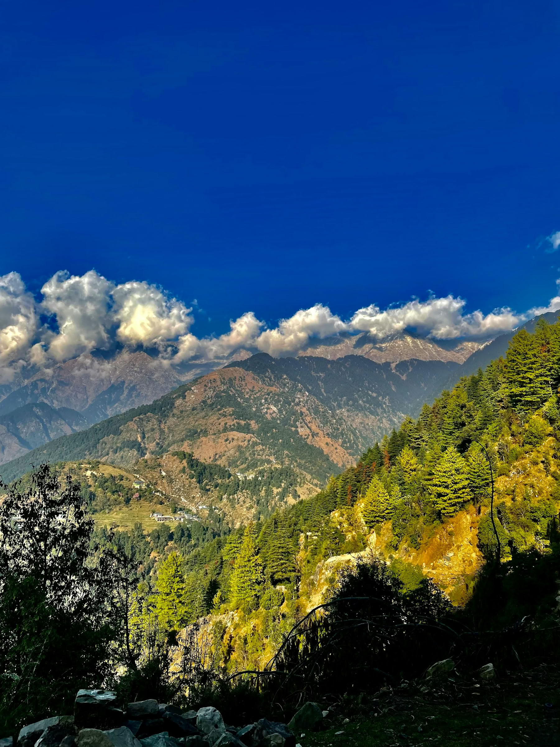 Camp, Escala y Conecta – Un viaje familiar al Himalaya