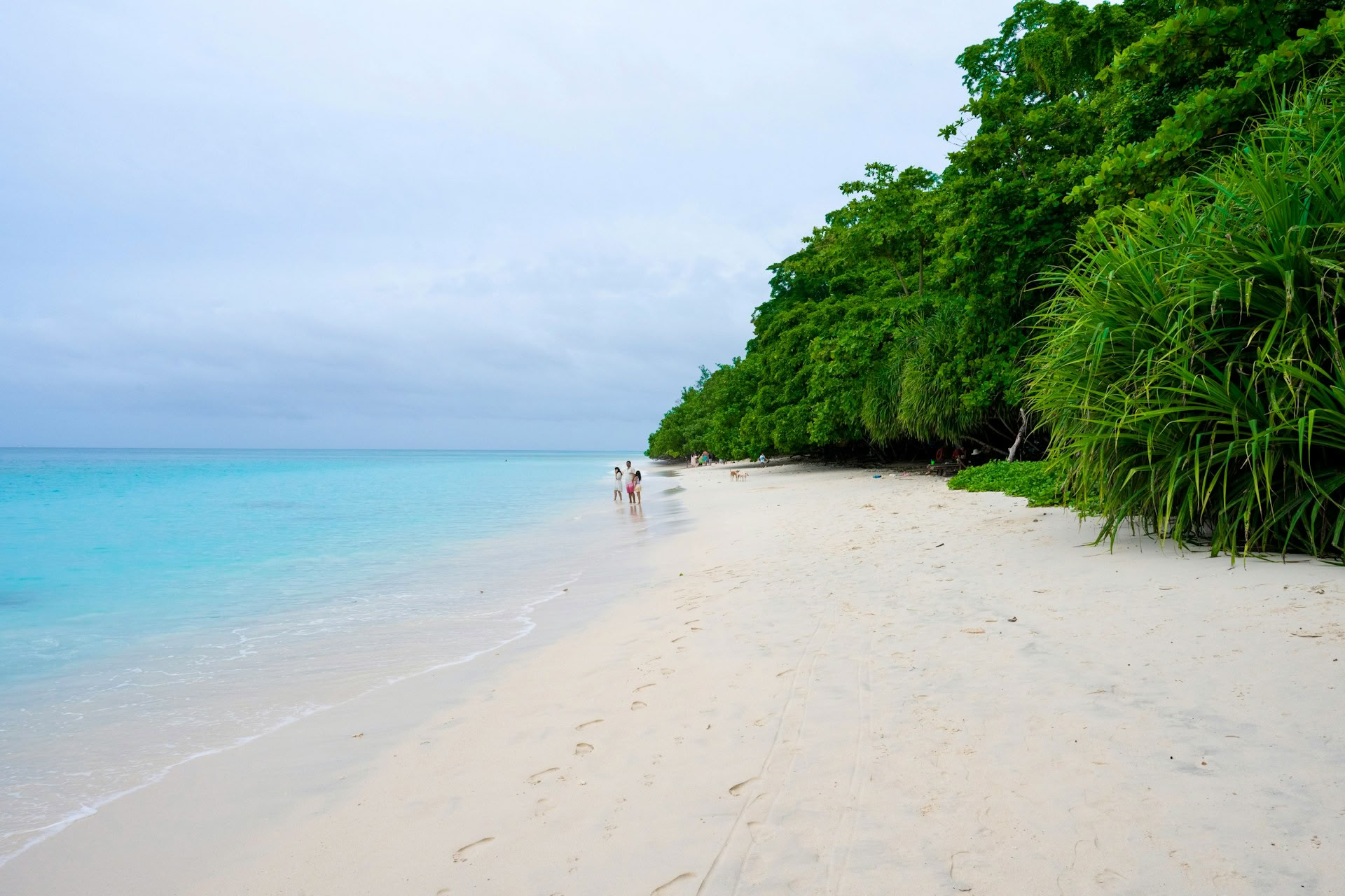 Azure Andaman Escape: Port Blair & Havelock Retiro