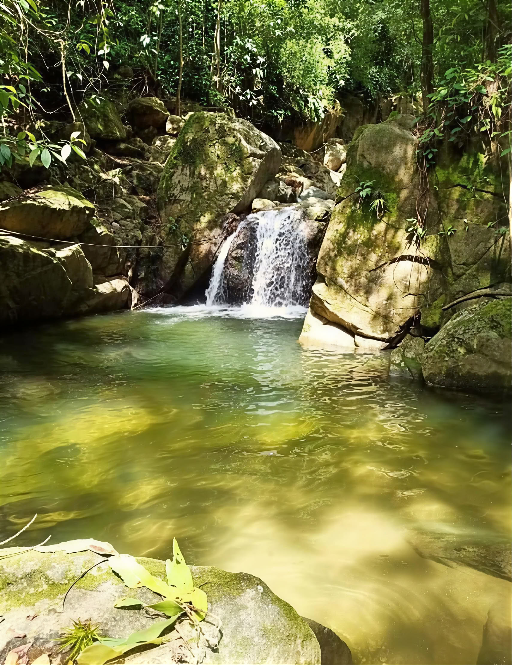 Retiro Sagrado de Ayahuasca en Santa Marta, Colombia