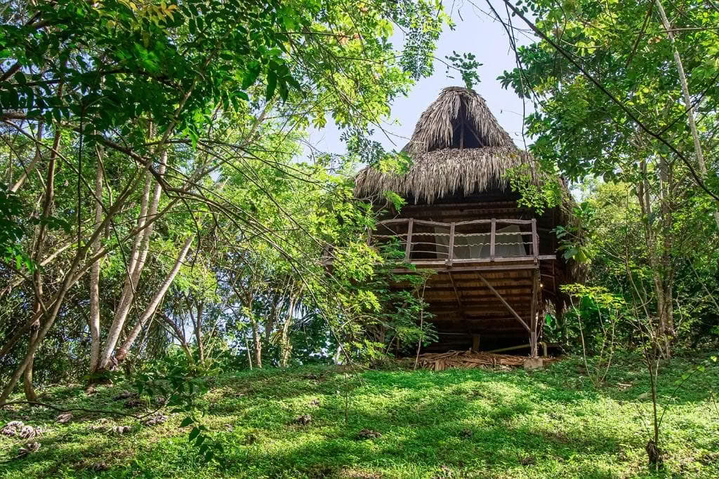 Retiro Sagrado de Ayahuasca en Santa Marta, Colombia