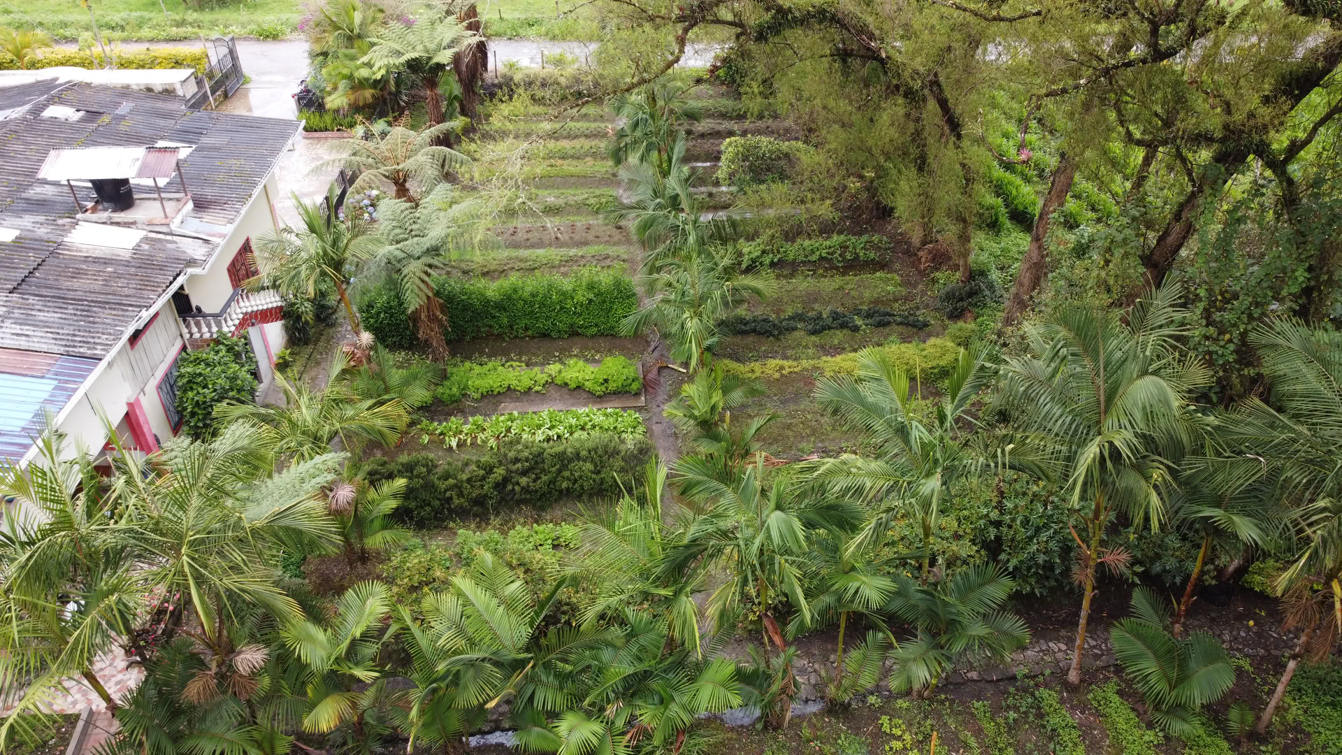 Retiro Sagrado de Ayahuasca en Santa Marta, Colombia