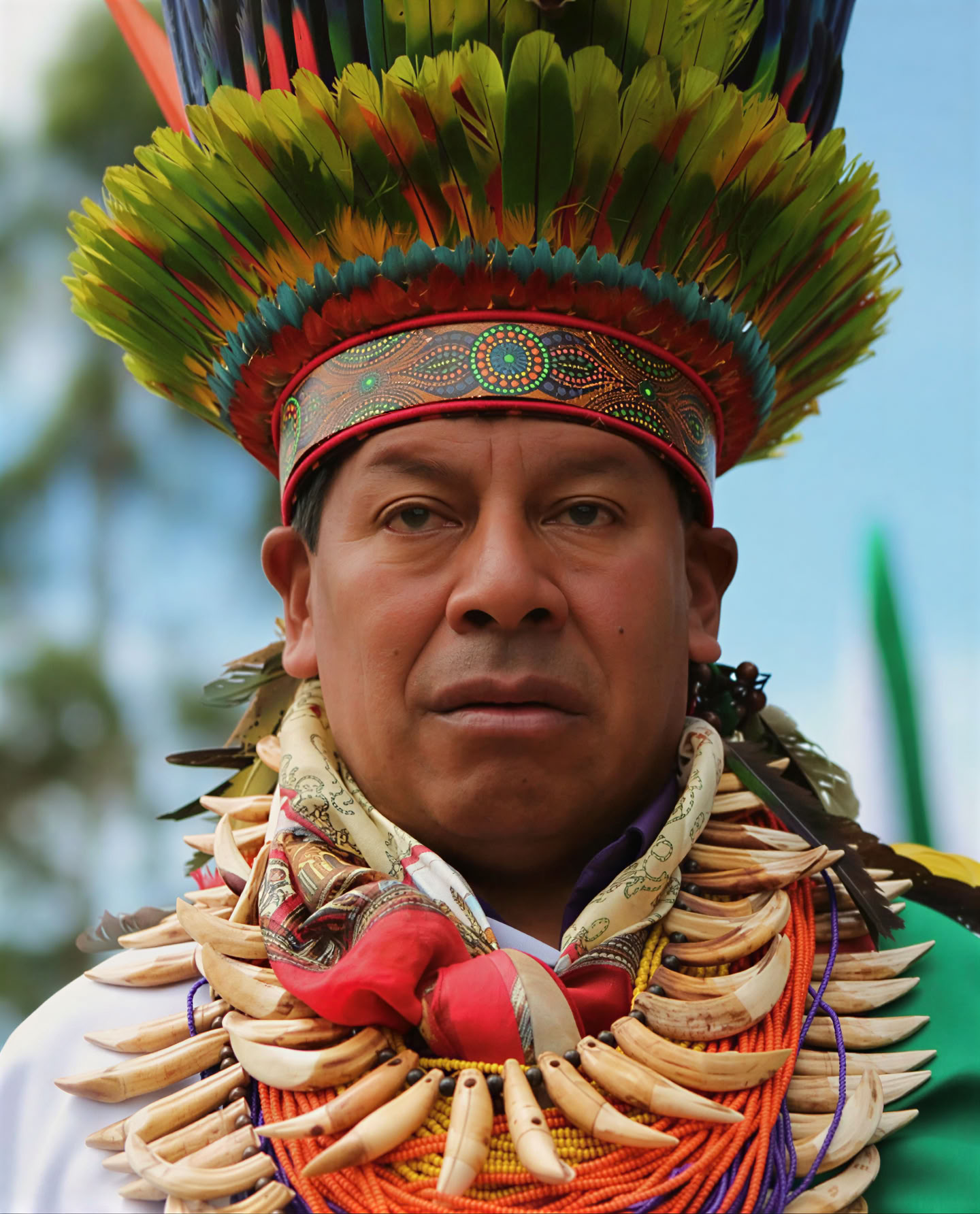 Retiro Sagrado de Ayahuasca en Santa Marta, Colombia