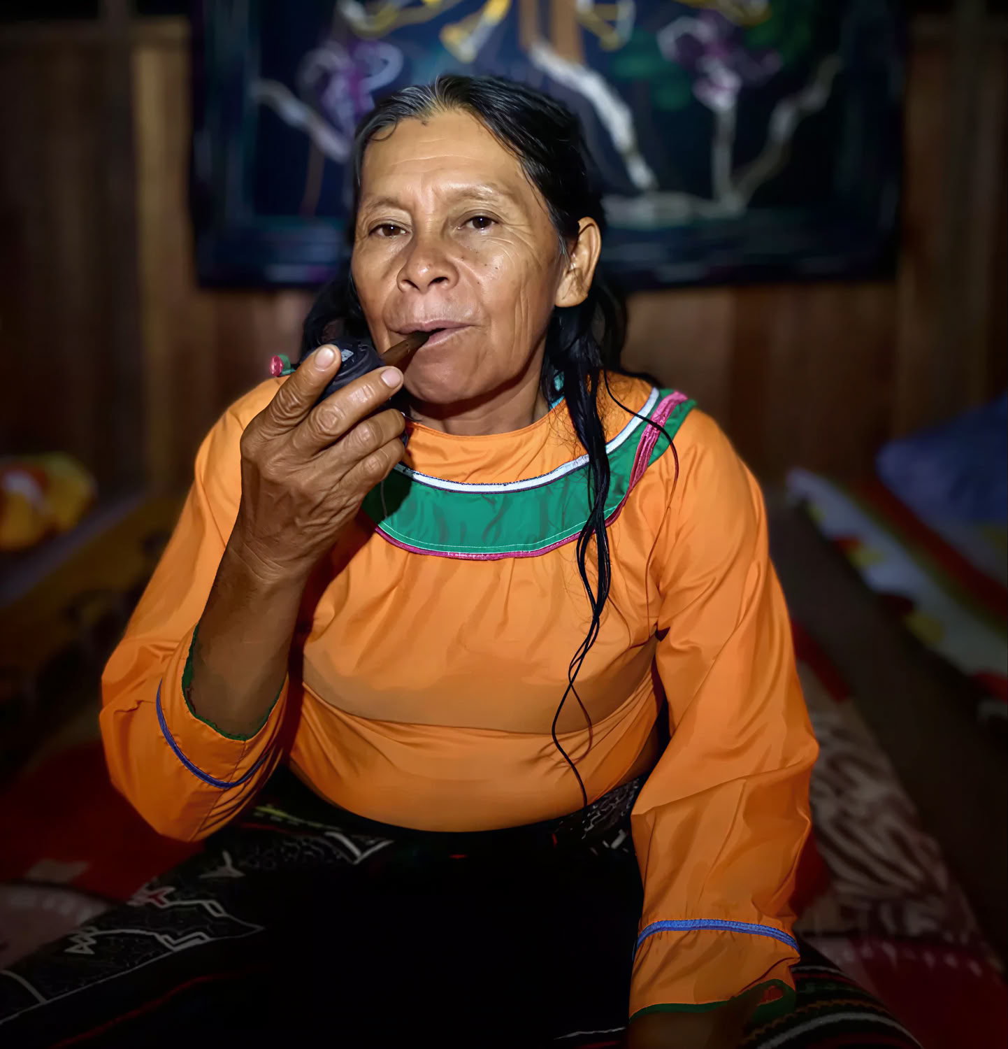 Master Plant Dieta y Medicina del Espíritu de las Plantas