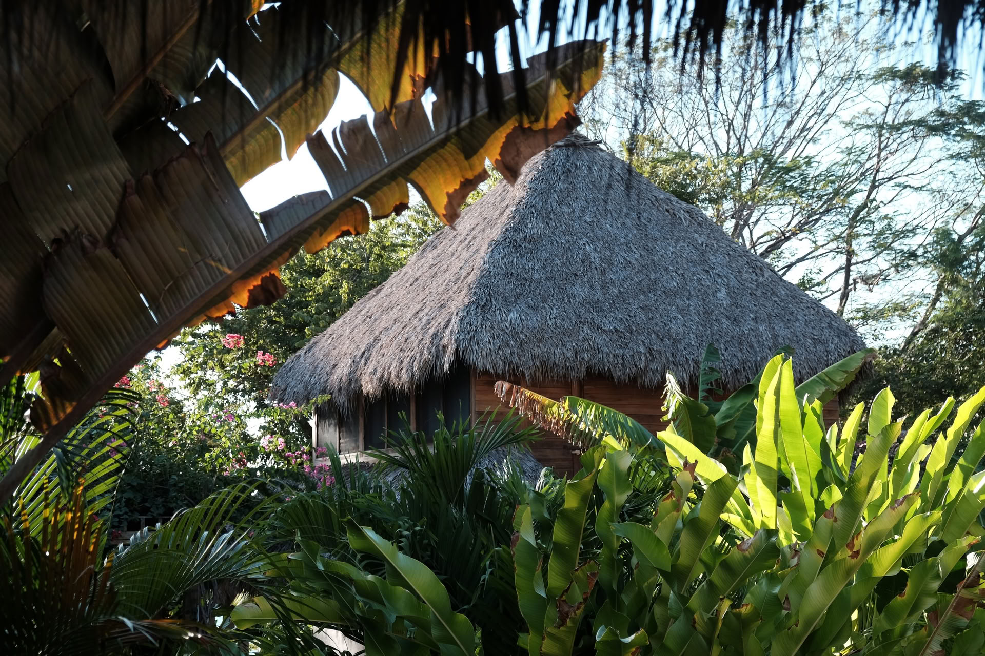 Sol Space Yoga Retreat