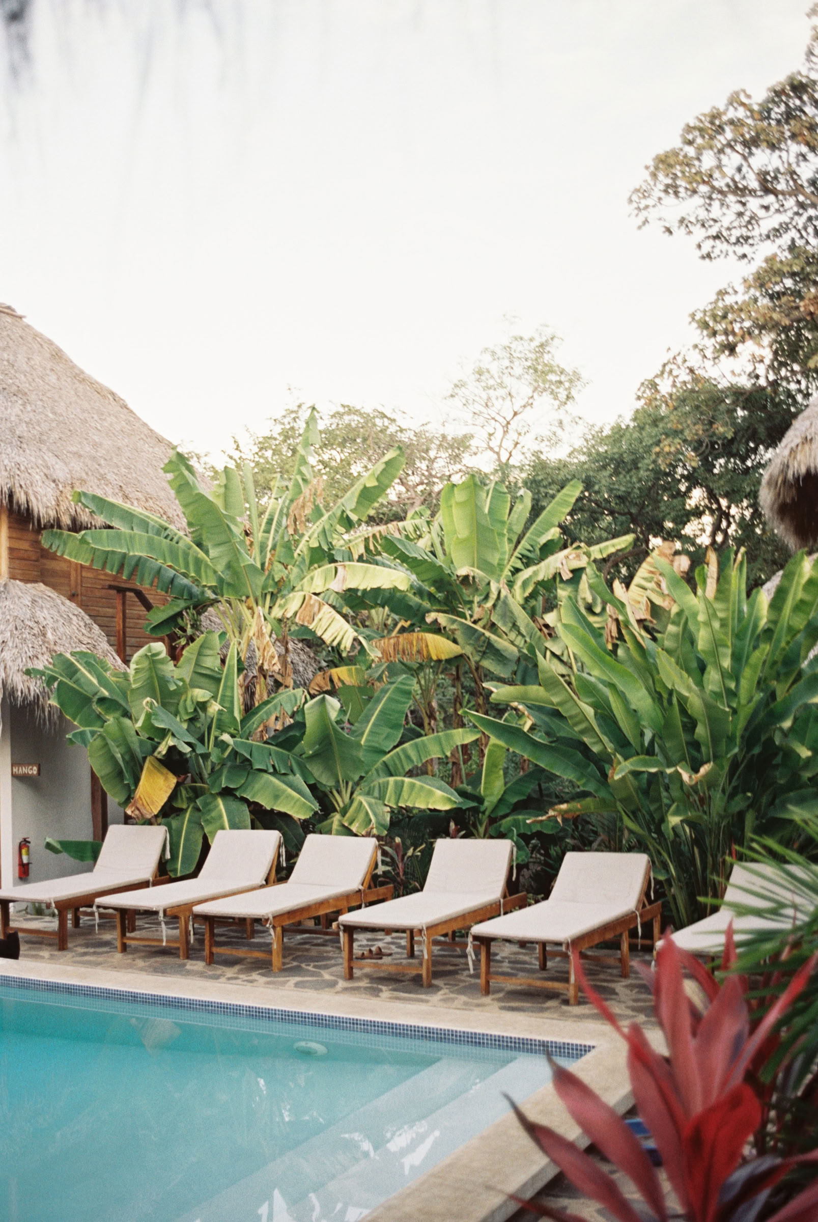 Wild Nicaragua Yoga Retreat