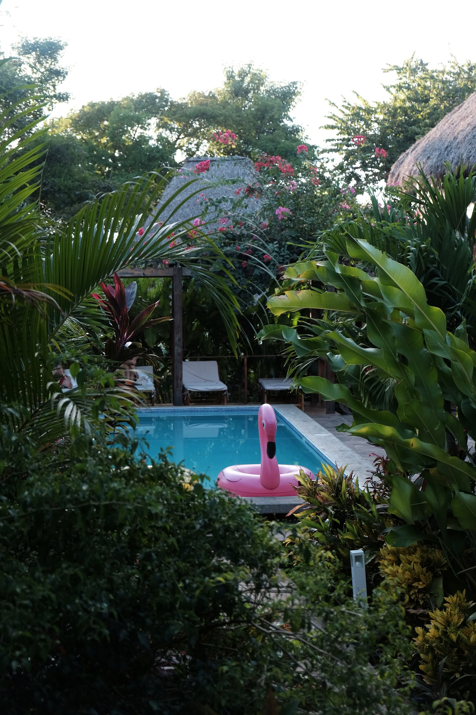 Wild Nicaragua Yoga Retreat