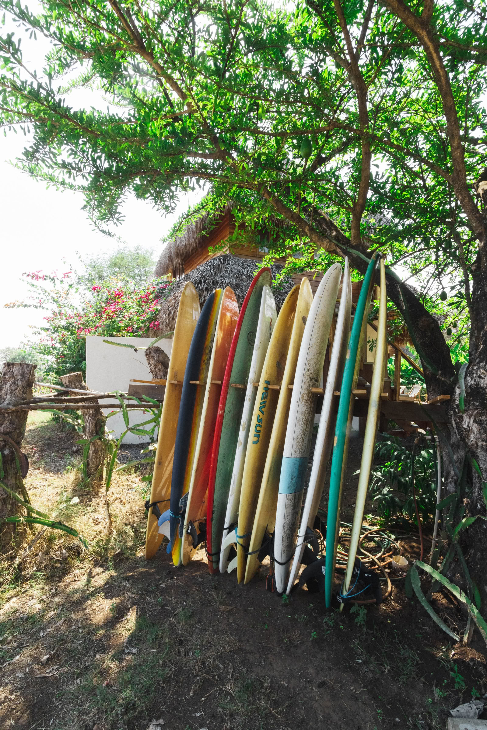 Wild Nicaragua Yoga Retreat